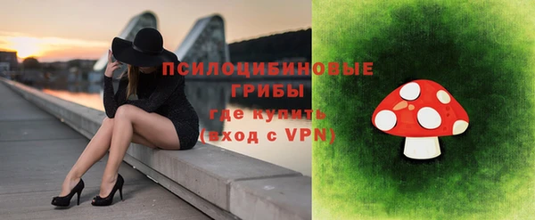 экстази Богородск