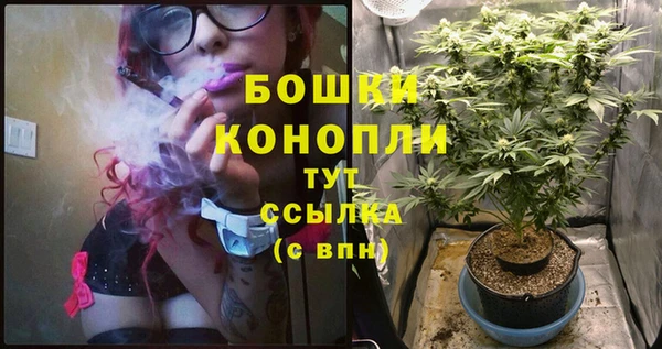 экстази Богородск