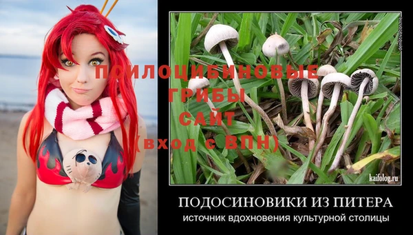экстази Богородск