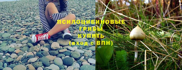 соль курить ск Богородицк